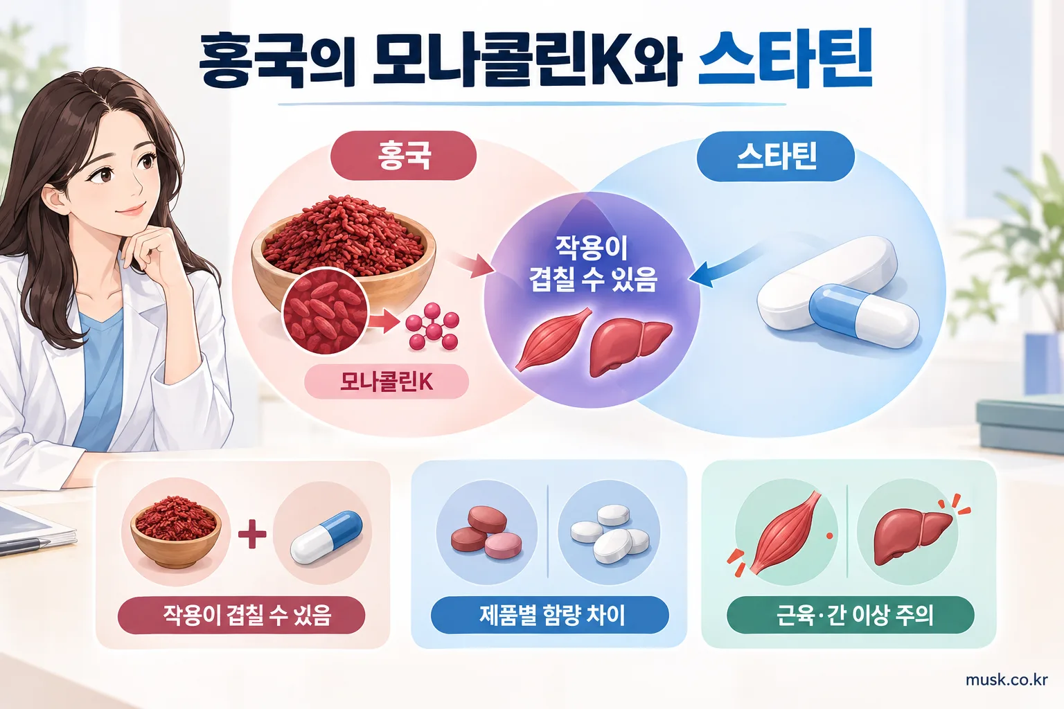 홍국의 모나콜린K와 스타틴의 작용이 겹칠 수 있음을 설명하는 인포그래픽