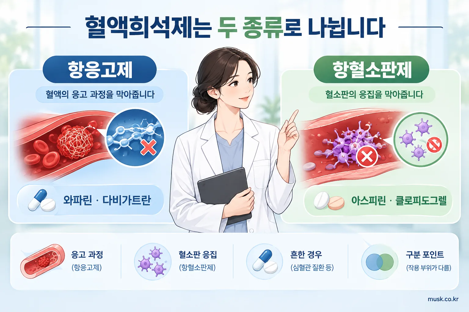 항응고제와 항혈소판제의 차이를 설명하는 의료 인포그래픽