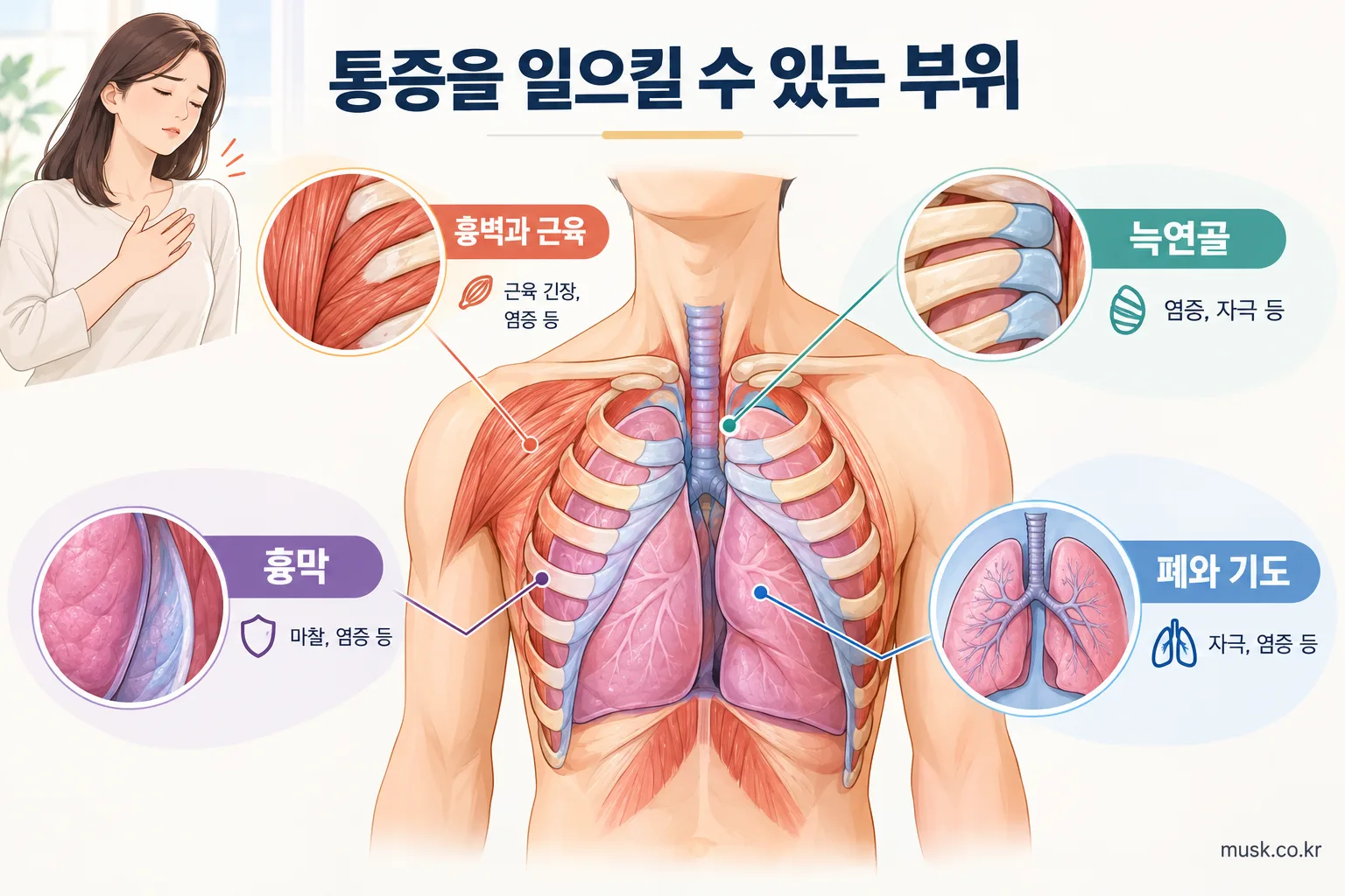 흉벽, 늑연골, 흉막 등 깊은 숨에 따른 가슴 통증과 관련된 부위
