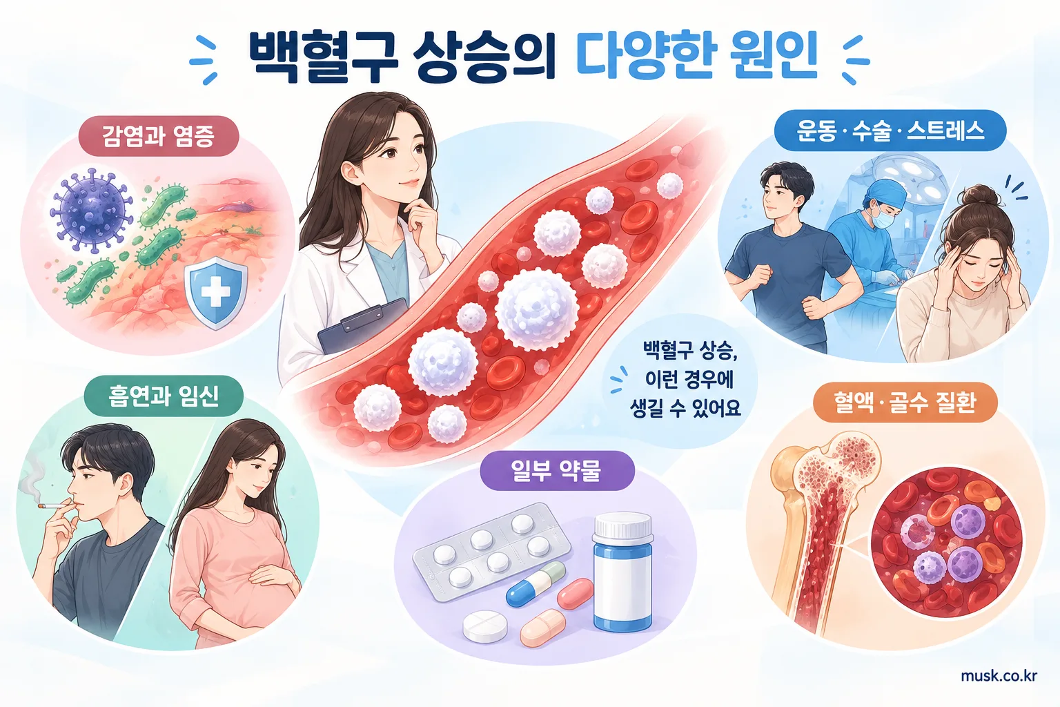 감염과 염증, 운동과 스트레스, 약물 등 백혈구 상승의 다양한 원인을 보여주는 인포그래픽