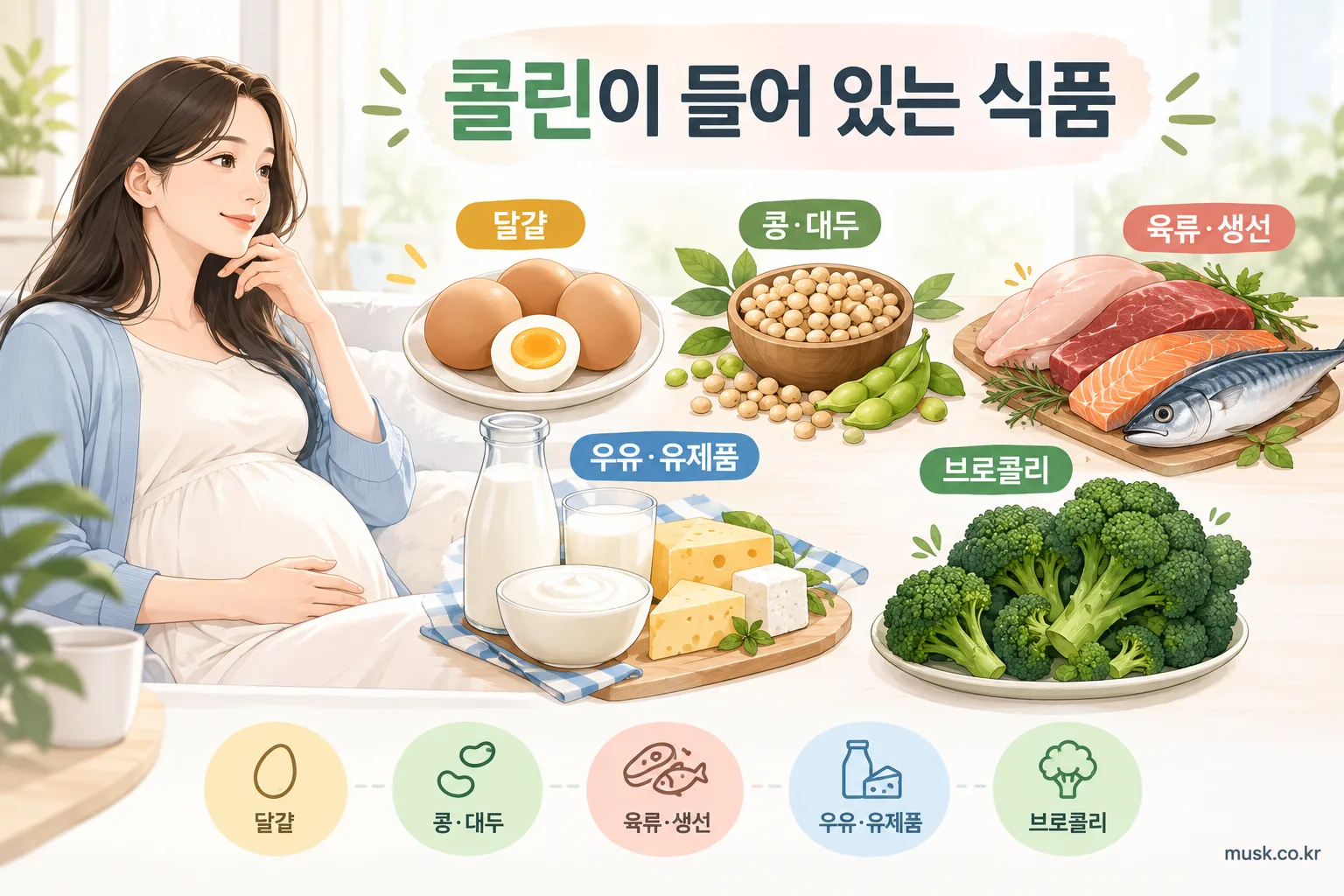 임신 중 콜린은 꼭 먹어야 하나 2 달걀, 대두, 육류, 생선, 우유, 브로콜리 등 콜린이 들어 있는 식품 안내