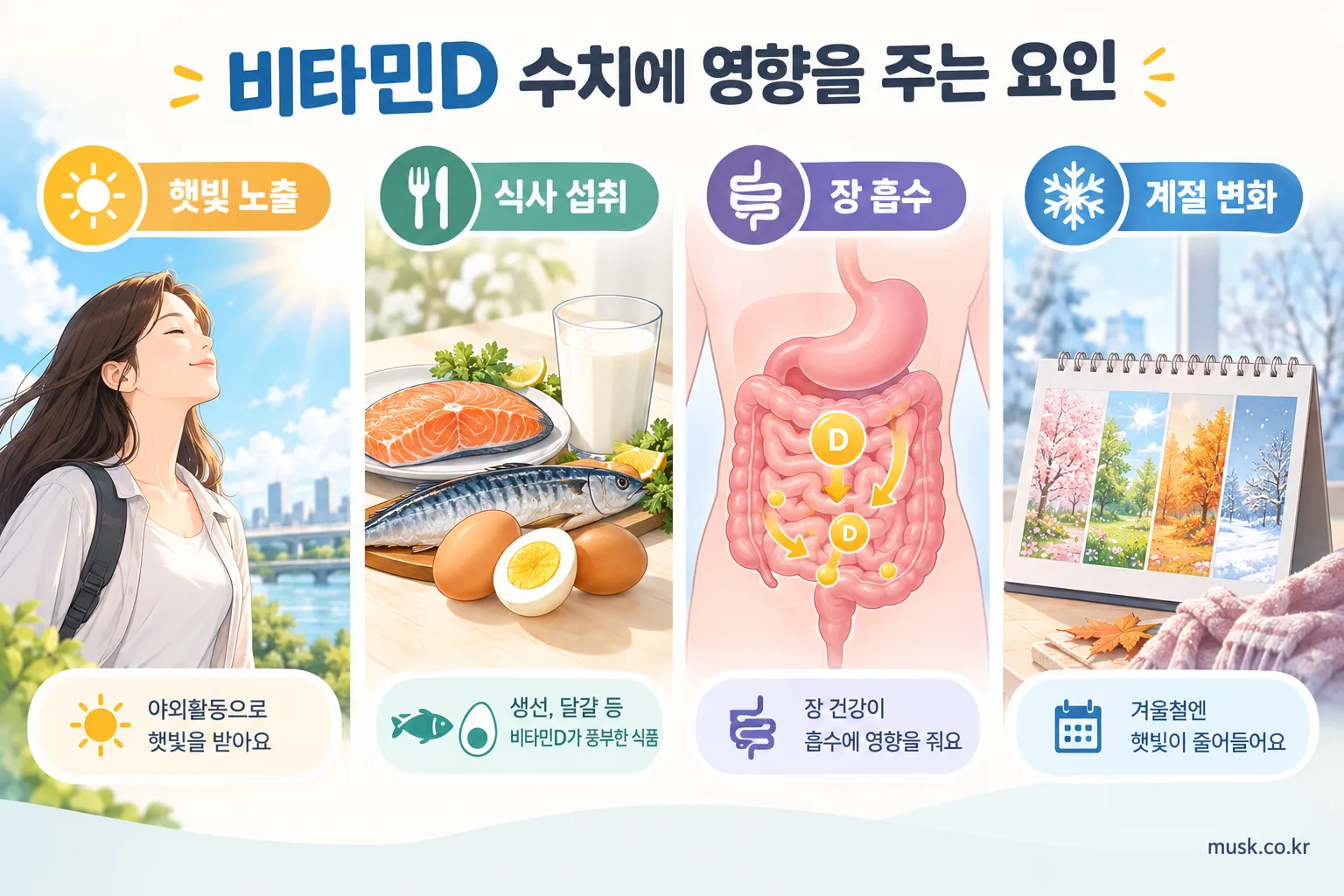 햇빛 노출, 식사, 장 흡수, 계절이 비타민D 수치에 영향을 주는 모습을 나타낸 인포그래픽