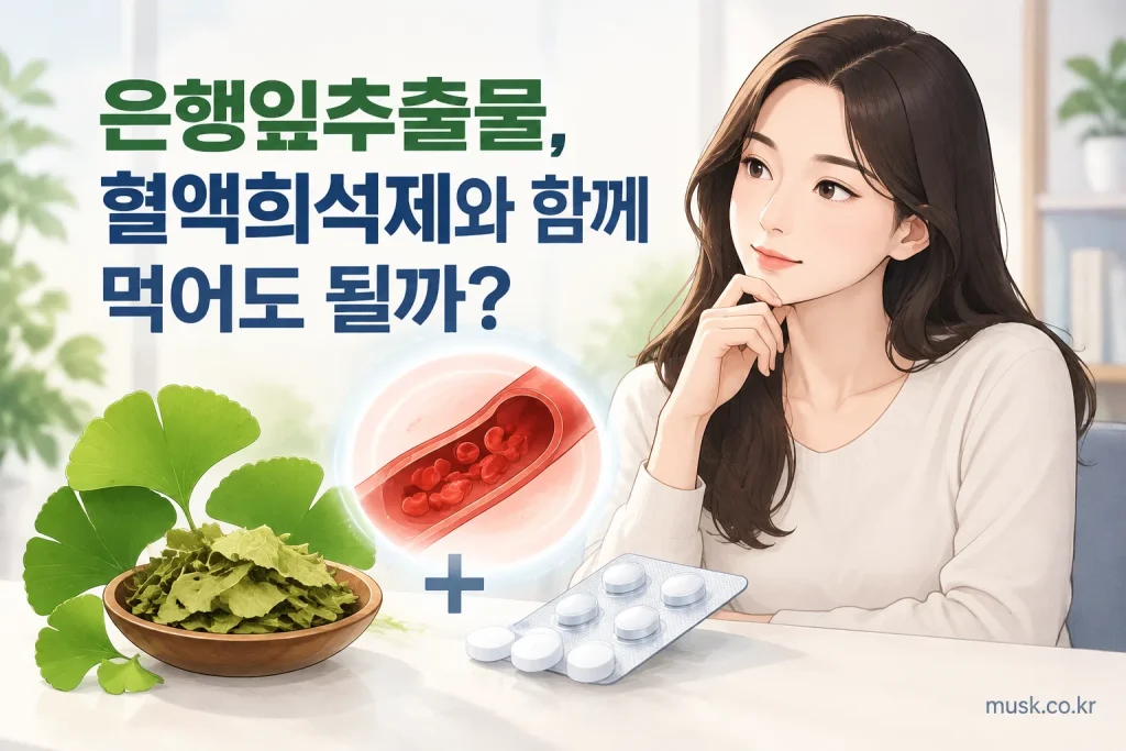 은행잎추출물과 혈액희석제 병용 시 주의사항을 보여주는 건강정보 이미지
