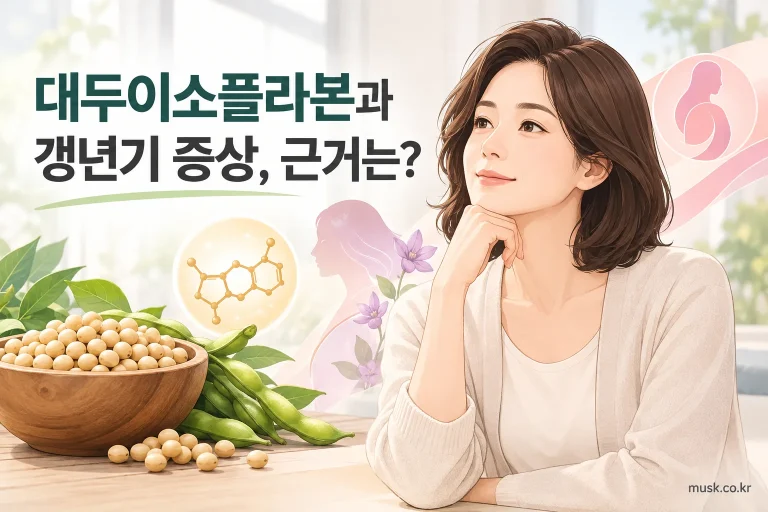대두이소플라본과 갱년기 증상의 연구 근거를 설명하는 대표 이미지