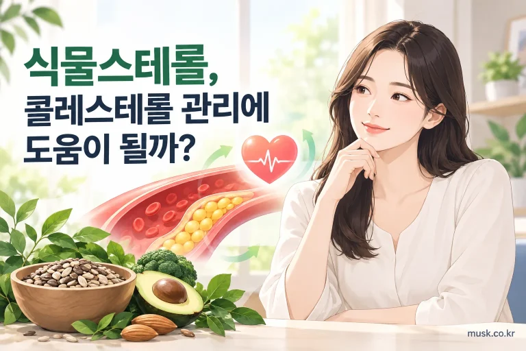 식물스테롤의 콜레스테롤 관리 도움 여부를 설명하는 대표 이미지